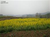 重庆市,忠县,石宝镇,晨溪村