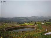 重庆市,忠县,石宝镇,晨溪村