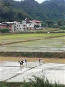 广东省,梅州市,梅县区,松口镇,下坪村