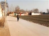 山东省,聊城市,临清市,刘垓子镇,尹阁村