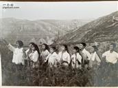 顺宁村 这是1969年夏天北京知青在顺宁大队黄地台小队插队时在田间照片
