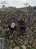 福建省,南平市,延平区,洋后镇,坑门村