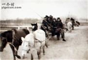 红旗村 当年冬天坐着队里的马车去县城