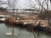 湖北省,荆门市,京山市,温泉新区,城山村