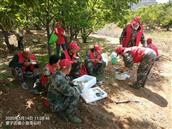 小渤海寨村 志愿者在公益林，捡树枝，中午席地而餐。