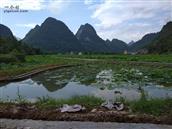 广西,河池市,金城江区,九圩镇,牙洞村