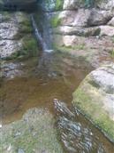 四川省,巴中市,通江县,澌波乡,苟家湾村