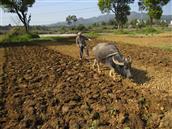江西省,鹰潭市,余江区,锦江镇,高峰村