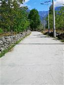 田坝村 田坝村水泥路干净整洁，漂亮的太阳能路灯。