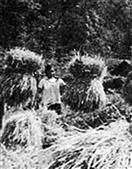 湖北省,荆门市,京山市,温泉新区,城山村