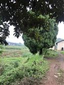 湖南省,郴州市,永兴县,洋塘乡,西龙村