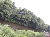 湖南省,株洲市,茶陵县,马江镇,浪滩村