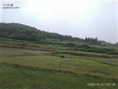 湖南省,株洲市,茶陵县,马江镇,浪滩村