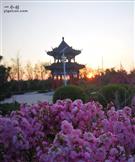 山东省,烟台市,招远市,辛庄镇,北截村