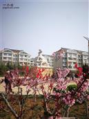 山东省,烟台市,招远市,辛庄镇,北截村