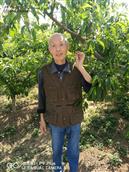 陕西省,咸阳市,泾阳县,桥底镇,和村