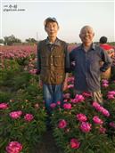 陕西省,咸阳市,泾阳县,桥底镇,和村