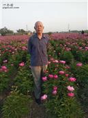 陕西省,咸阳市,泾阳县,桥底镇,和村