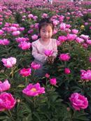 陕西省,咸阳市,泾阳县,桥底镇,和村