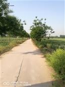 陕西省,咸阳市,泾阳县,桥底镇,和村