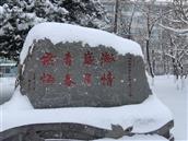 金塘村 坐落于珲春市龙源公园里的上海知青纪念碑