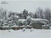 金塘村 坐落于珲春市龙源公园里的五虎石雕
