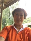 山东省,烟台市,招远市,辛庄镇,西汪家村
