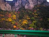 河北省,邯郸市,武安市,活水乡,宅清沟村