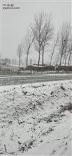 杨庄村 我的村庄冬天还是很美的！