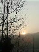 湖北省,随州市,曾都区,淅河镇,府君山村