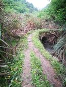 浙江省,金华市,永康市,西溪镇,董坑村