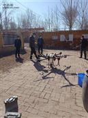 山东省,聊城市,临清市,刘垓子镇,薛楼村