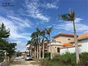 广东省,阳江市,江城区,城西街道,阮西村