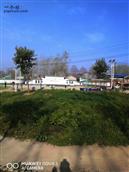 河南省,商丘市,睢县,白庙乡,聂庄村