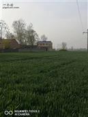 河南省,商丘市,睢县,白庙乡,聂庄村