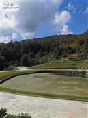 广东省,梅州市,五华县,龙村镇,新艳村