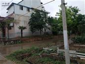 陕西省,咸阳市,泾阳县,泾干镇,马庄村