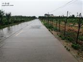 陕西省,咸阳市,泾阳县,泾干镇,马庄村