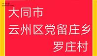 山西省,大同市,云州区,党留庄乡,罗庄村