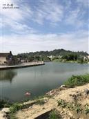 广东省,揭阳市,普宁市,南径镇,陇华村