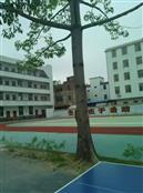 广东省,揭阳市,普宁市,南径镇,陇华村