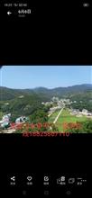 广东省,梅州市,丰顺县,大龙华镇,上溪村