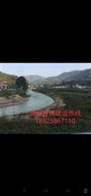 广东省,梅州市,丰顺县,大龙华镇,上溪村