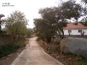 山东省,烟台市,海阳市,行村镇,夼里村