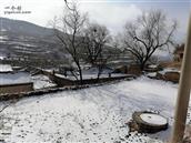 储士村 冬日雪景