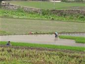 安徽省,宣城市,绩溪县,板桥头乡,下溪村