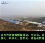山东省,威海市,乳山市,乳山寨镇,车村