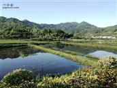 湖北省,黄冈市,罗田县,凤山镇,牌形垸村