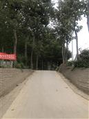 河北省,衡水市,故城县,武官寨镇,军王庙村