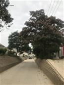 河北省,衡水市,故城县,武官寨镇,军王庙村